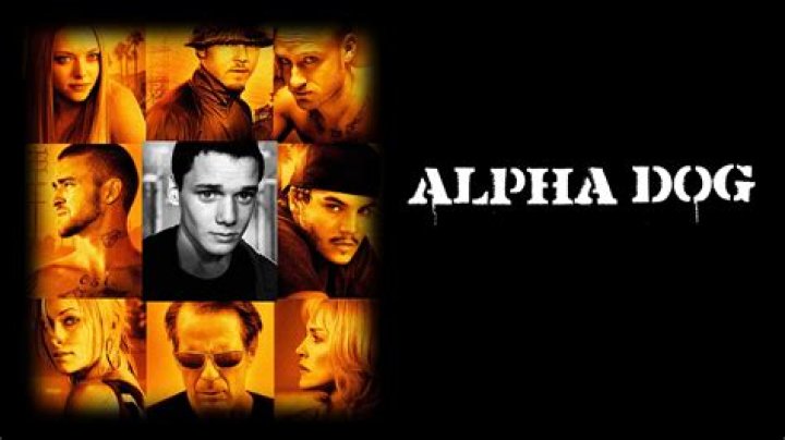 Exploring the Depths of the Alpha Dog Movie