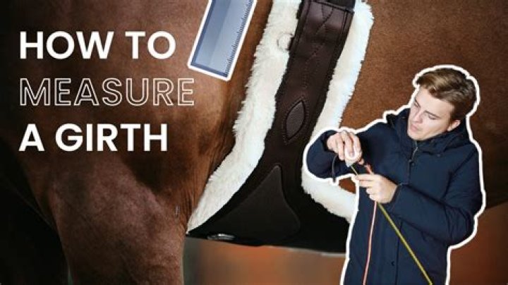 Exploring the Girthmaster Height: What You Need to Know