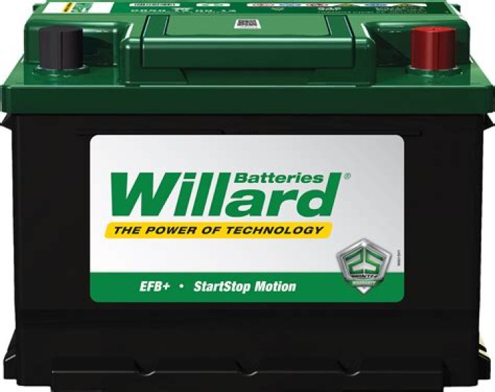 Exploring the Legacy of Willard Ford: An Automotive Pioneer