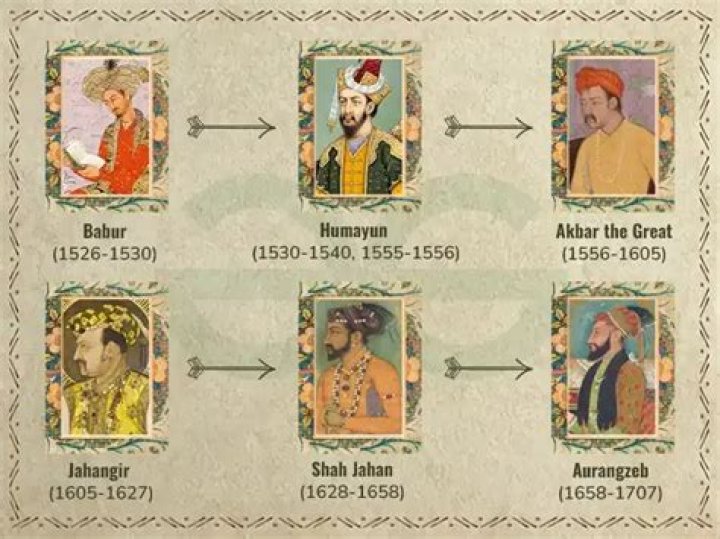 Exploring the Life and Achievements of Solmaz Zarrineh