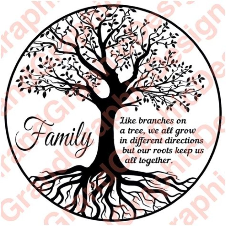 Exploring the Matt Czuchry Family: Roots and Relationships