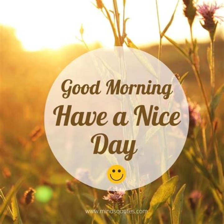 Understanding the Phrase: Have a Nice Day