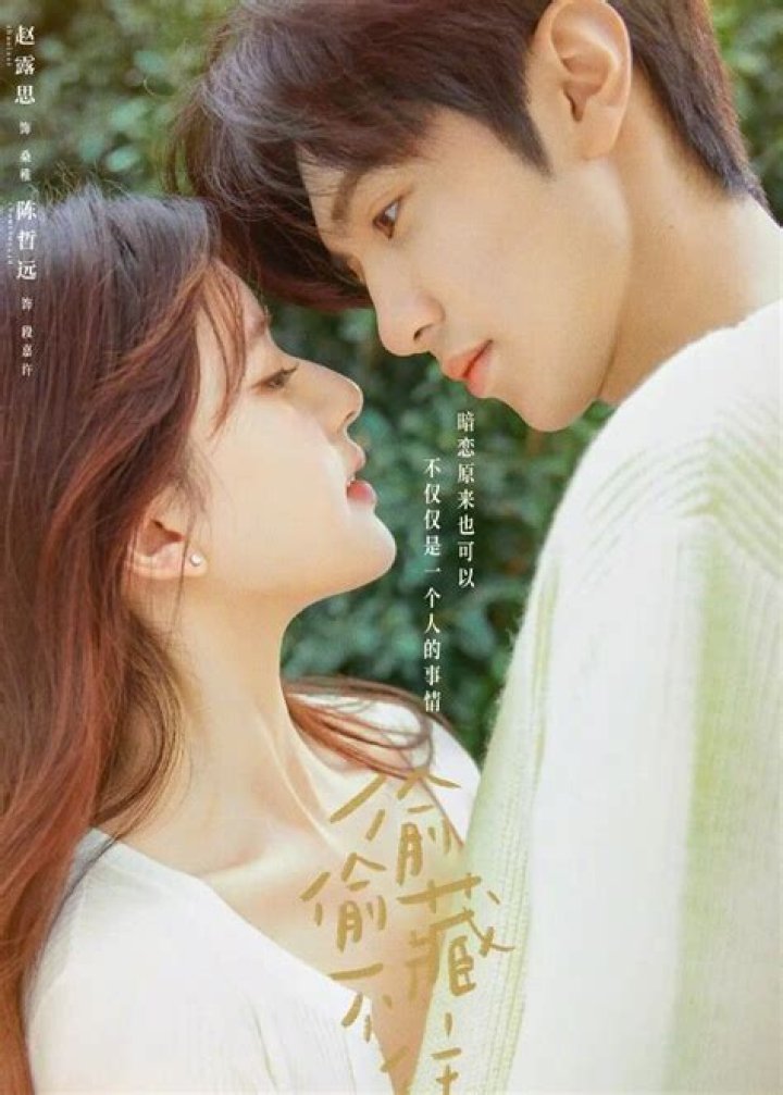 Zhao Lusi Dating: Unraveling the Romance Behind the Star